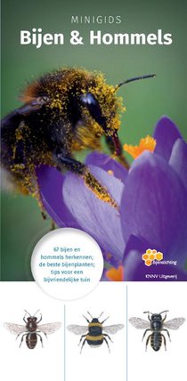 Minigids Bijen en Hommels