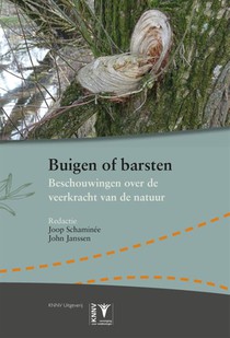 Buigen of barsten voorzijde