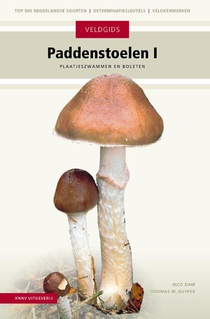 Paddenstoelen I