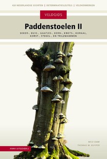 Paddenstoelen II