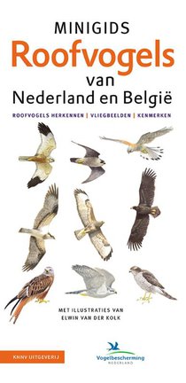 Set Minigids Roofvogels van Nederland en Belgie