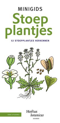 Set Minigids Stoepplantjes