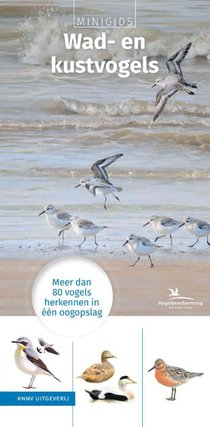 Set Minigids Wad- en kustvogels