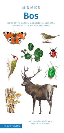 Minigids Bos set
