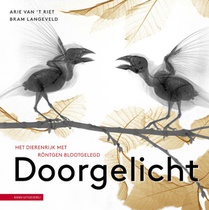 Doorgelicht voorzijde