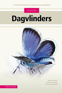 Dagvlinders