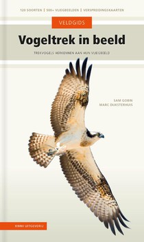 Vogeltrek in beeld