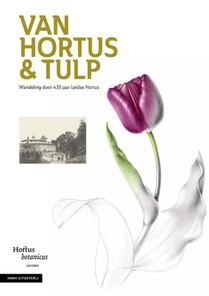 Van Hortus & tulp