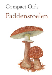 Paddenstoelen voorzijde