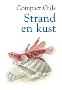 Strand en kust voorzijde