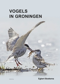 Vogels in Groningen voorzijde
