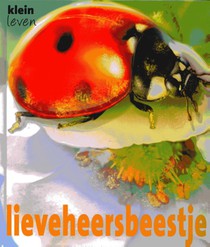 Lieveheersbeestje voorzijde