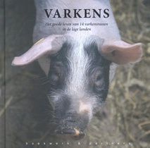 Varkens voorzijde