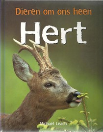 Hert voorzijde