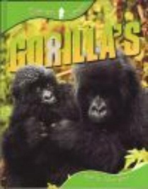 Gorilla's voorzijde