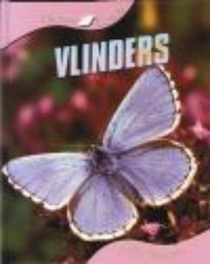 Vlinders voorzijde