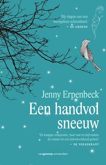 Een handvol sneeuw