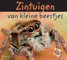 Zintuigen van kleine beestjes voorzijde