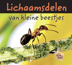 Lichaamsdelen van kleine beestjes