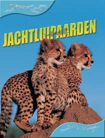 Jachtluipaarden voorzijde