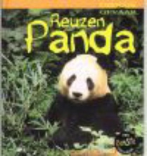 Reuzenpanda voorzijde