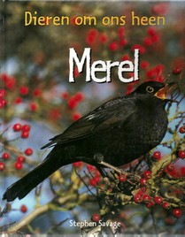 Merel