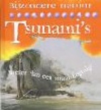 Tsunami's voorzijde