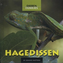 Hagedissen