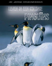 Leven in een kolonie pinguins voorzijde