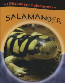 Salamander voorzijde