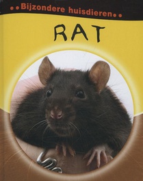 Rat voorzijde