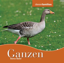 Ganzen