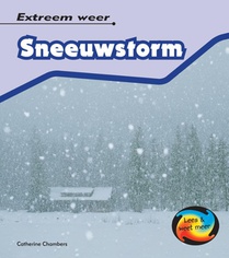 Sneeuwstorm