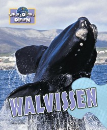 Walvissen