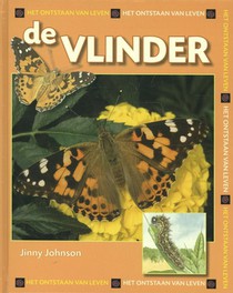 De vlinder voorzijde