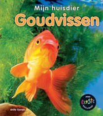 Goudvissen