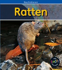 Ratten