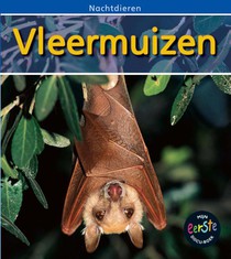 Vleermuizen