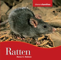 Ratten