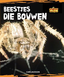 Beestjes die bouwen voorzijde