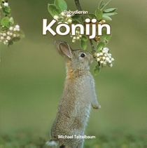 Konijn