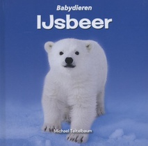 IJsbeer