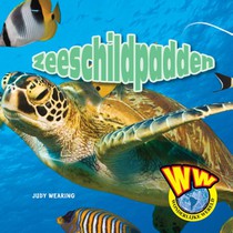 Zeeschildpadden