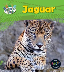 Jaguar voorzijde