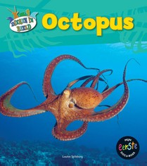 Octopus voorzijde