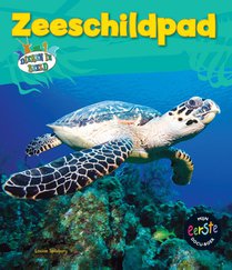 Zeeschildpad voorzijde