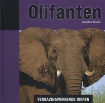 Olifanten