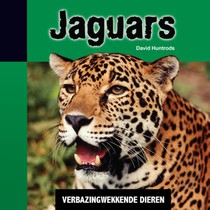 Jaguars voorzijde