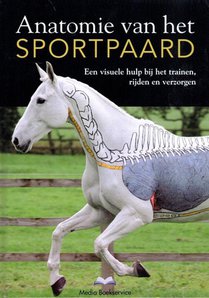 Anatomie van het sportpaard voorzijde