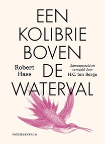 Een kolibrie boven de waterval